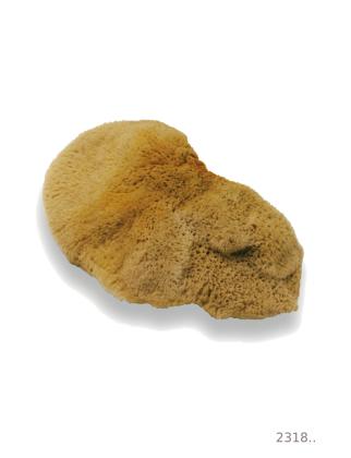 Elephant Ear Natural Sponge