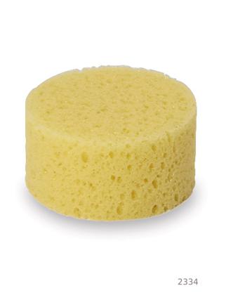 Viscous Sponge Medium Pored Round